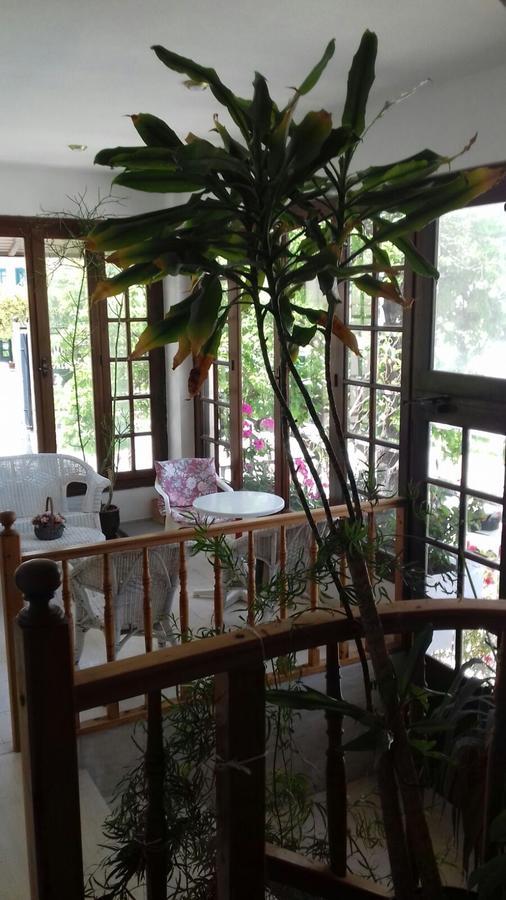 Villa Nena Hersonissos  Ngoại thất bức ảnh
